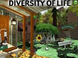 diversity of life