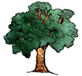 Oak Tree Image